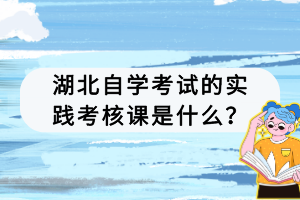 湖北自學(xué)考試的實踐考核課是什么？