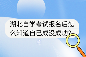 湖北自學(xué)考試報(bào)名后怎么知道自己成沒成功？