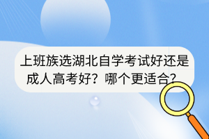 上班族選湖北自學(xué)考試好還是成人高考好？哪個(gè)更適合？
