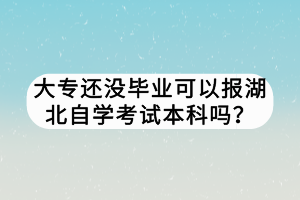 大專還沒畢業(yè)可以報(bào)湖北自學(xué)考試本科嗎？