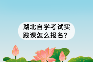 湖北自學(xué)考試實(shí)踐課怎么報(bào)名？
