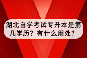 湖北自學(xué)考試專升本準(zhǔn)考證怎么自己打??？