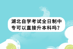 湖北自學(xué)考試全日制中?？梢灾苯由究茊?？