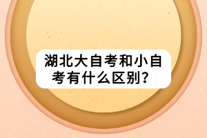 湖北大自考和小自考有什么區(qū)別？
