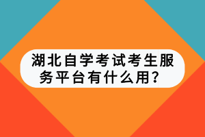 湖北自學考試考生服務(wù)平臺有什么用？