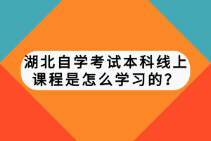 湖北自學(xué)考試本科線上課程是怎么學(xué)習(xí)的？