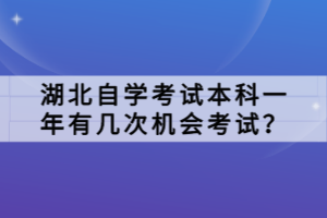 湖北自學考試本科一年有幾次機會考試？
