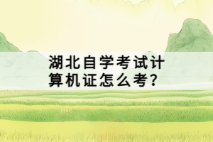 湖北自學考試計算機證怎么考？