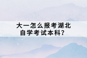 大一怎么報考湖北自學考試本科？