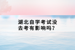 湖北自學(xué)考試沒(méi)去考有影響嗎？