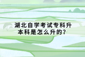 湖北自學(xué)考試專科升本科是怎么升的？