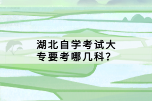 湖北自學(xué)考試大專要考哪幾科？