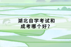湖北自學(xué)考試和成考哪個好？