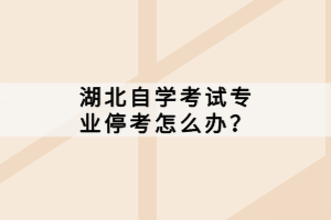 湖北自學(xué)考試專(zhuān)業(yè)?？荚趺崔k？