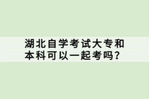 湖北自學(xué)考試大專(zhuān)和本科可以一起考嗎？