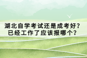湖北自學(xué)考試還是成考好？已經(jīng)工作了應(yīng)該報(bào)哪個(gè)？