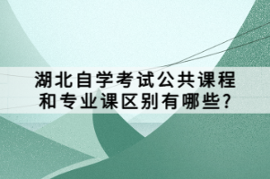 湖北自學(xué)考試公共課程和專業(yè)課區(qū)別有哪些？