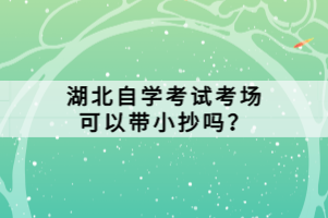 湖北自學考試考場可以帶小抄嗎？
