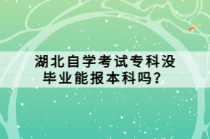 湖北自學(xué)考試?？茮]畢業(yè)能報本科嗎？