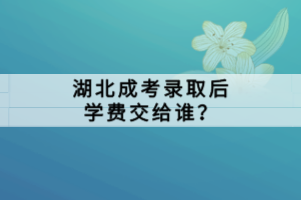 湖北自學(xué)考試考試考場的查詢方法和其他省一樣嗎？