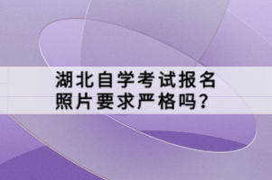 湖北自學(xué)考試報名照片要求嚴(yán)格嗎？