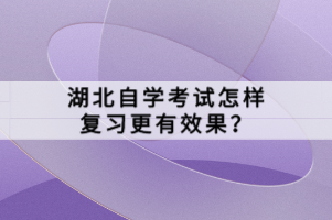 湖北自學(xué)考試怎樣復(fù)習(xí)更有效果？
