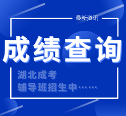 湖北成考成績(jī)查詢(xún)時(shí)間
