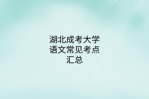 湖北成考大學(xué)語(yǔ)文常見考點(diǎn)匯總