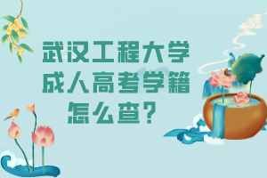武漢工程大學成人高考學籍怎么查？