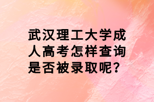武漢理工大學成人高考怎樣查詢是否被錄取呢？