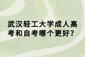 武漢輕工大學(xué)成人高考和自考哪個更好？