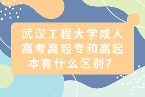 武漢工程大學成人高考高起專和高起本有什么區(qū)別？