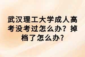 武漢理工大學成人高考沒考過怎么辦？掉檔了怎么辦?