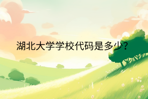湖北大學(xué)學(xué)校代碼是多少？