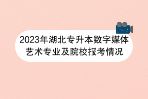 2023年湖北專升本數字媒體藝術專業(yè)及院校報考情況