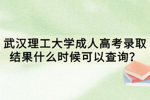 武漢理工大學成人高考錄取結果什么時候可以查詢？