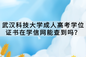 武漢科技大學(xué)成人高考學(xué)位證書(shū)在學(xué)信網(wǎng)能查到嗎？