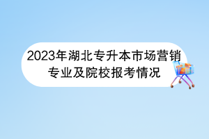 2023年湖北專升本市場(chǎng)營(yíng)銷專業(yè)及院校報(bào)考情況