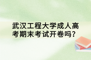 武漢工程大學(xué)成人高考期末考試開卷嗎？