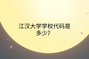 江漢大學學校代碼是多少？