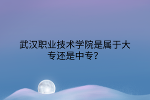 武漢職業(yè)技術(shù)學院是屬于大專還是中專？
