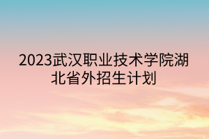 2023武漢職業(yè)技術學院湖北省外招生計劃