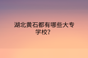 湖北黃石都有哪些大專學校？