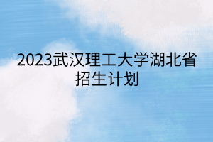 2023武漢理工大學湖北省招生計劃