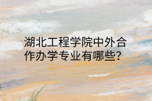 湖北工程學(xué)院中外合作辦學(xué)專業(yè)有哪些？