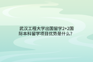 武漢工程大學(xué)出國(guó)留學(xué)2+2國(guó)際本科留學(xué)項(xiàng)目?jī)?yōu)勢(shì)是什么？