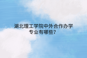 湖北理工學(xué)院中外合作辦學(xué)專業(yè)有哪些？