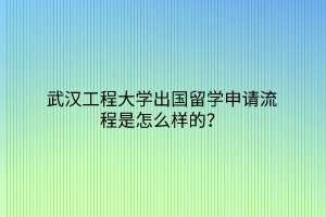 武漢工程大學(xué)出國(guó)留學(xué)申請(qǐng)流程是怎么樣的？