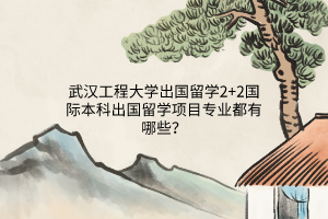 武漢工程大學出國留學2+2國際本科出國留學項目專業(yè)都有哪些？