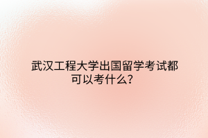武漢工程大學(xué)出國留學(xué)考試都可以考什么？